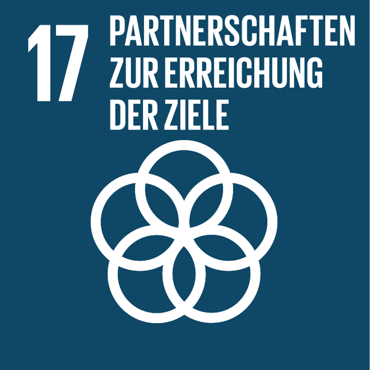Symbol: SDG Ziel 17 - Partnerschaften zur Erreichung der Ziele